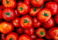 El jitomate sigue caro: el saladet se mantiene arriba de los 40 pesos y presiona la canasta básica