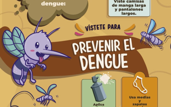 Exhorta IMSS Veracruz Sur a prevenir dengue y fortalecer medidas preventivas