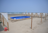 Vacaciones seguras e incluyentes: Coatzacoalcos abre Playa Inclusiva y Playa Familiar para Semana Santa