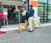 Policía Municipal de Coatzacoalcos fortalece la proximidad social con la Unidad Canina en el centro de la ciudad