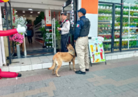 Policía Municipal de Coatzacoalcos fortalece la proximidad social con la Unidad Canina en el centro de la ciudad