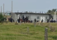 Cae pareja defraudadora de vende-lotes en megaoperativo de desalojo en Los Almendros 2