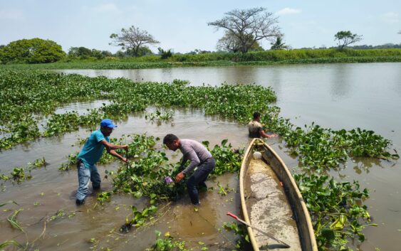 Gobierno de Minatitlán realiza trabajos de limpieza a espacios públicos.