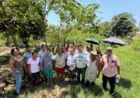 Gobierno de Oluta da seguimiento a problema de drenaje