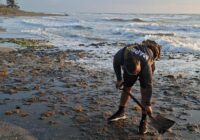 SEMAR aclara contenido de bolsas detectadas en playas del sur de Veracruz