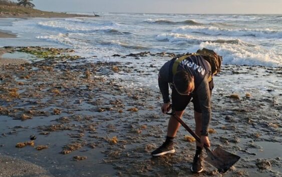 SEMAR aclara contenido de bolsas detectadas en playas del sur de Veracruz