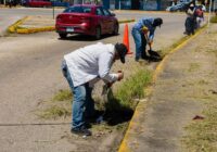Gobierno de Minatitlán mantiene jornadas de limpieza Gobierno de Minatitlán mantiene jornadas de limpieza