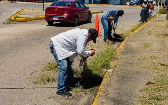 Gobierno de Minatitlán mantiene jornadas de limpieza
