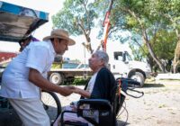 Gobierno Municipal realiza poda preventiva en el Parque El Mangal Gobierno Municipal realiza poda preventiva en el Parque El Mangal