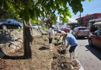 Gobierno Municipal realiza jornadas de limpieza a vialidades Gobierno Municipal realiza jornadas de limpieza a vialidades