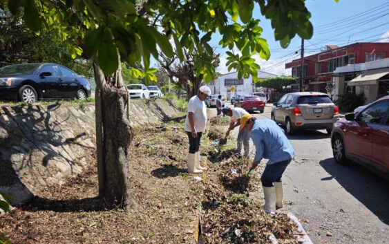 Gobierno Municipal realiza jornadas de limpieza a vialidades