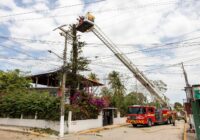 Gobierno Municipal realiza derribo preventivo de un ejemplar Gobierno Municipal realiza derribo preventivo de un ejemplar