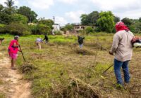 Minatitlán continúa trabajando en la recuperación de espacios públicos Minatitlán continúa trabajando en la recuperación de espacios públicos