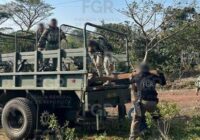 FGR ASEGURA 34 TABLONES DE MADERA PROTEGIDA EN LA RESERVA LA BIÓSFERA EN SAN ANDRÉS TUXTLA, VERACRUZ