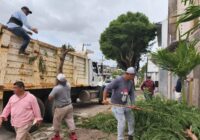 Jornada de limpieza y recolección de residuos en Minatitlán Jornada de limpieza y recolección de residuos en Minatitlán