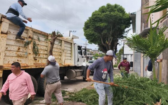 Jornada de limpieza y recolección de residuos en Minatitlán
