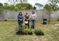 Minatitlán impulsa reforestación en la UTSV Minatitlán impulsa reforestación en la UTSV