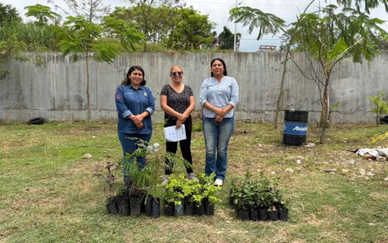 Minatitlán impulsa reforestación en la UTSV