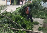 El Gobierno de Minatitlán continúa con jornadas de limpieza El Gobierno de Minatitlán continúa con jornadas de limpieza