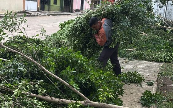 El Gobierno de Minatitlán continúa con jornadas de limpieza