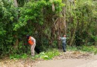 El Gobierno de Minatitlán mantiene programa de limpieza