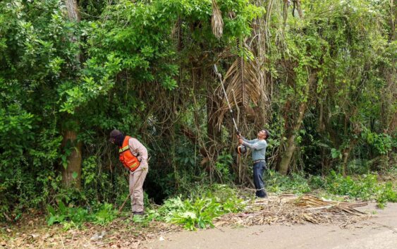El Gobierno de Minatitlán mantiene programa de limpieza