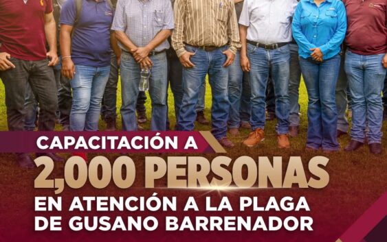100 Días | Avances en el combate al gusano barrenador