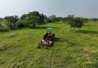 El Gobierno de Minatitlán fortalece al sector agrícola del área rural