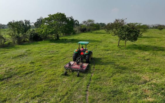 El Gobierno de Minatitlán fortalece al sector agrícola del área rural