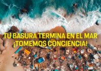 Playas en riesgo: desafíos y soluciones para su preservación
