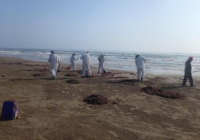 Tras derrame, anuncian creación de Observatorio Permanente del Golfo de México; usará boyas oceanográficas y tecnología satelital