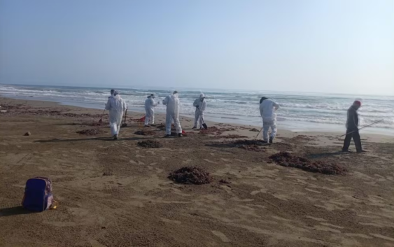 Tras derrame, anuncian creación de Observatorio Permanente del Golfo de México; usará boyas oceanográficas y tecnología satelital