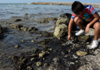 Derrame en el Golfo se originó en ducto de Pemex; se sabía desde febrero: organizaciones ambientales Derrame en el Golfo se originó en ducto de Pemex; se sabía desde febrero: organizaciones ambientales