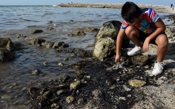 Derrame en el Golfo se originó en ducto de Pemex; se sabía desde febrero: organizaciones ambientales