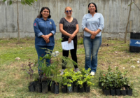 Minatitlán impulsa reforestación en la UTSV
