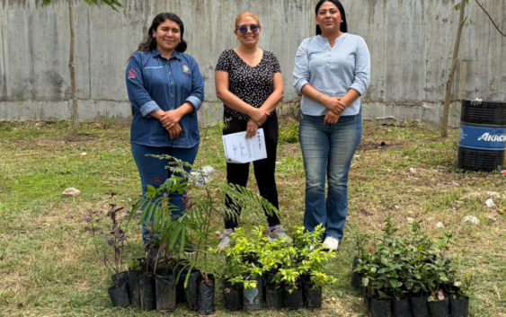 Minatitlán impulsa reforestación en la UTSV