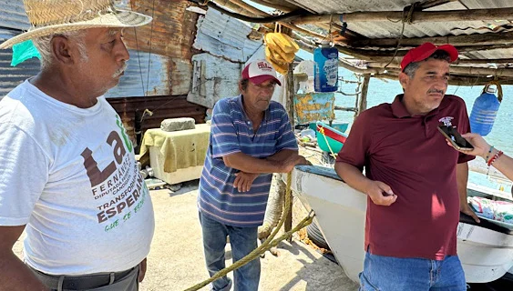 Pescadores de Alvarado, fueron excluidos de apoyos económicos: González Medina