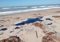 Paraíso perdido: en Tabasco el desastre llegó antes del chapopote