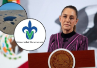 UV integra Observatorio Permanente del Golfo de México creado por Sheinbaum tras derrame
