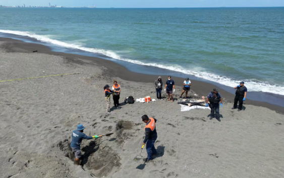 Día a día del derrame de petróleo en el Golfo de México: cronología de una emergencia ambiental ocultada por Pemex