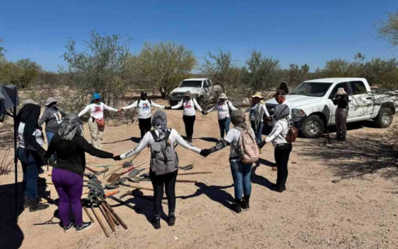 Asciende a 53 la cifra de osamentas halladas en fosas clandestinas en Guaymas, Sonora; colectivos intensifican búsqueda en Sonora