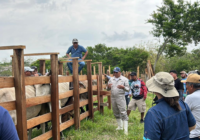 Ayuntamiento de Cosoleacaque capacita a productores ganaderos