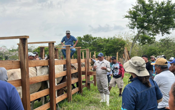 Ayuntamiento de Cosoleacaque capacita a productores ganaderos