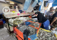 Viernes Santo sin repunte: caen ventas de mariscos entre cautela y bolsillos ajustados Viernes Santo sin repunte: caen ventas de mariscos entre cautela y bolsillos ajustados