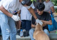 Inicia en Cosoleacaque la Jornada de Vacunación Antirrábica Canina y Felina 2026