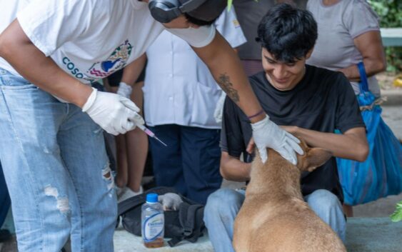 Inicia en Cosoleacaque la Jornada de Vacunación Antirrábica Canina y Felina 2026