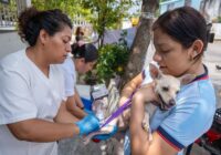 ¡Cosoleacaque responde con responsabilidad y amor por sus mascotas!
