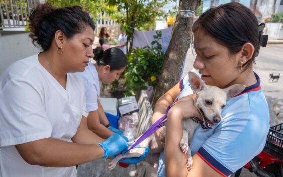 ¡Cosoleacaque responde con responsabilidad y amor por sus mascotas!