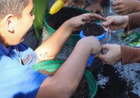 Impulsa Coatzacoalcos cultura ambiental con inauguración del primer Compostero Escolar