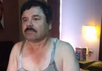 El ‘Chapo’ se ‘lava las manos’ en nueva carta: ‘el gobierno fue responsable de todos los crímenes violentos’